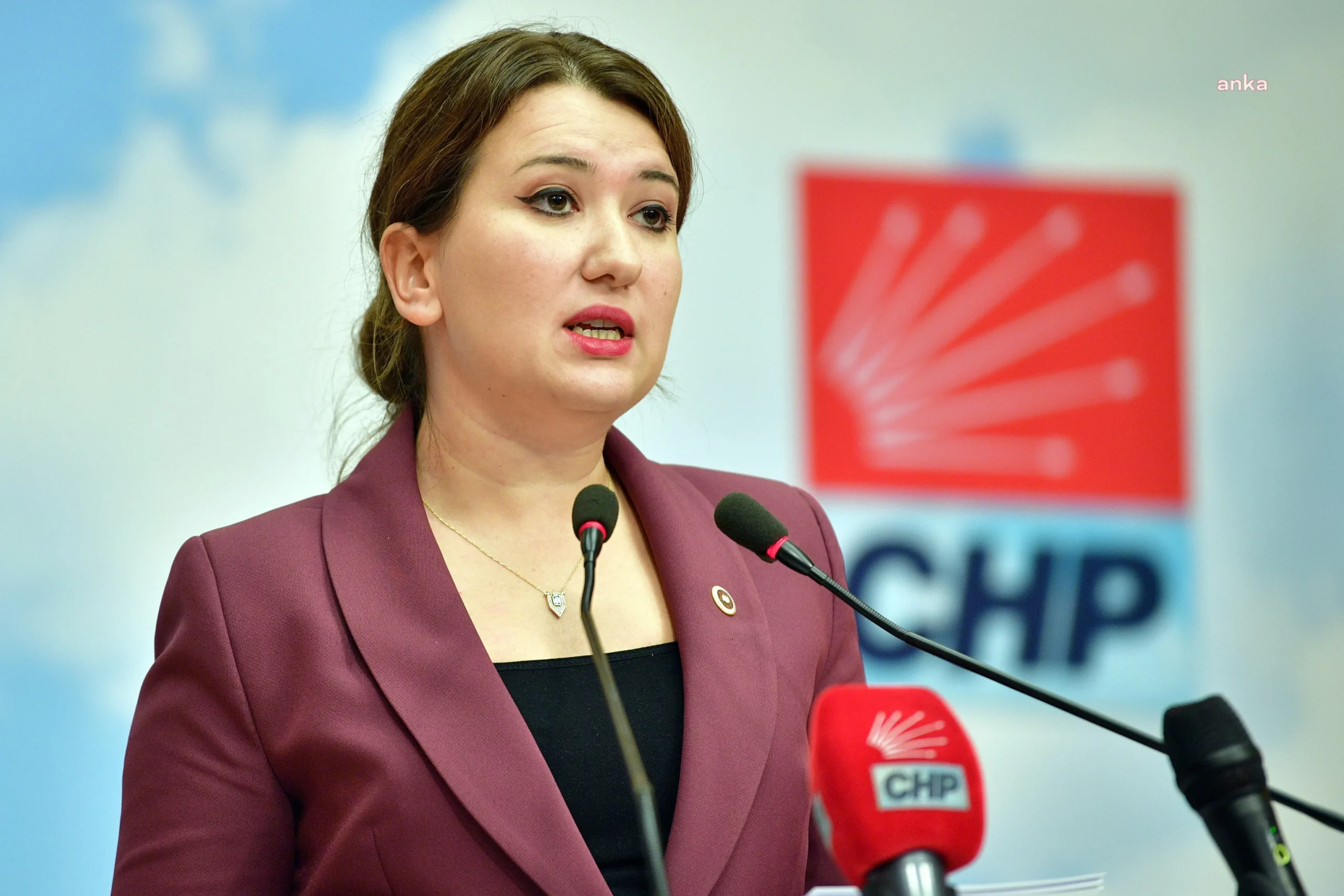 CHP’li Gökçen: Saç ve tırnak testini Ali Kaya istedi, Adli Tıp almadı
